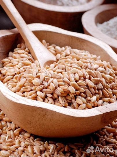 Полба,цельное зерно для полбяной каши и пищи, 5 кг