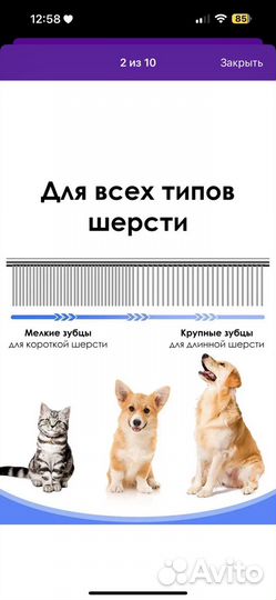 Ножницы для груминга