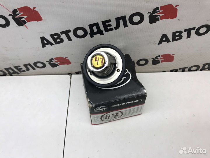 Термостат Gates TH25782G1 Ford Focus II