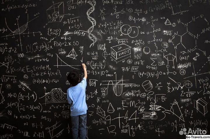 Высшая математика помощь экзамены тесты