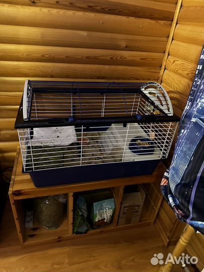 Клетка для грызунов ferplast