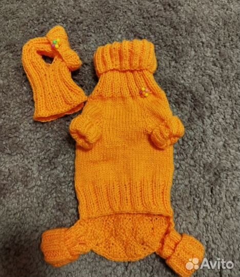 Одежда для животных