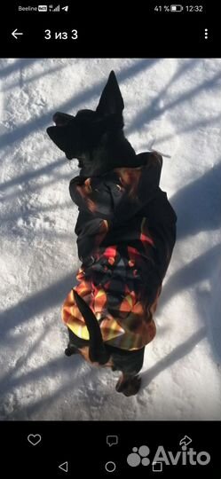 Бомбическая курточка