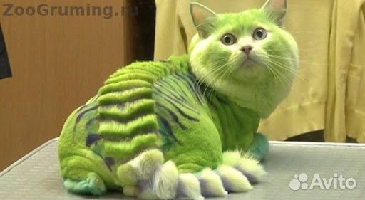 Груминг. Требуется модель