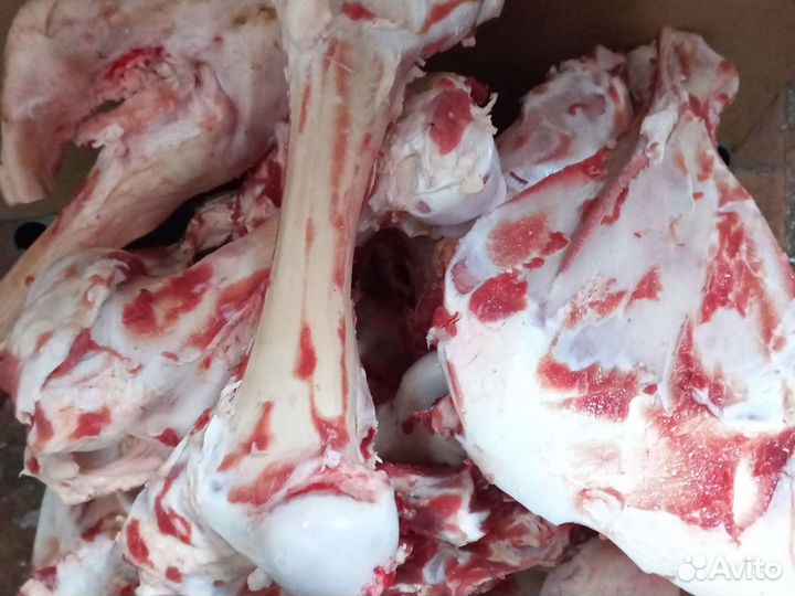 Кости для собак