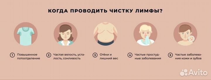 Дайн макси