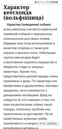 Щенки Кеесхонда (вольф шпиц)
