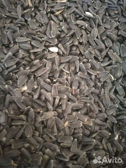 Зерно.Пшеница,ячмень,семечки в мешках