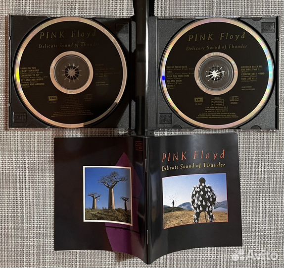 Pink Floyd-Delicate Sound of Thunder/Live/ 2CD