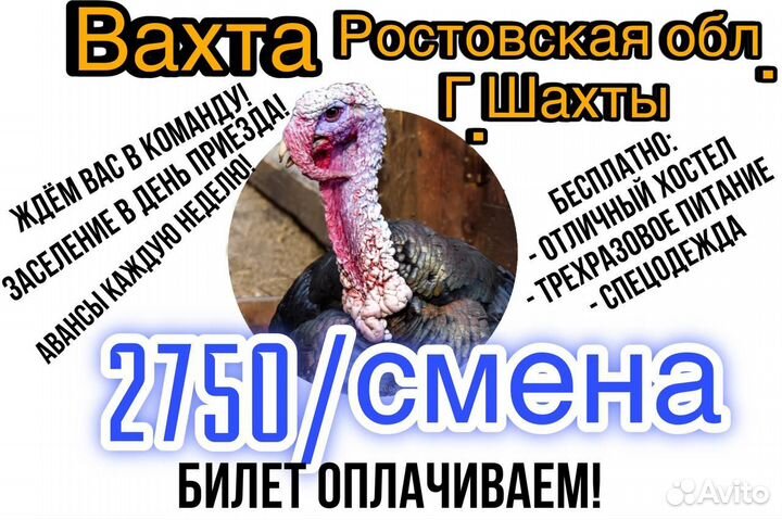 Вахта с проживанием и питанием