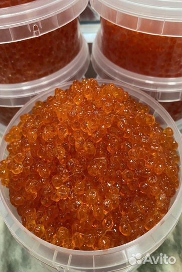 Красная икра оптом