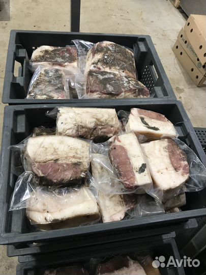 Сало соленое. Шпик