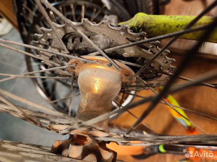 Гравийный фреймсет/ велосипед / 59 L format 2313