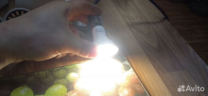 Лампочки gu10 светодиодные LED галогенные