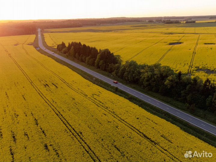 Экскурсии и трансфер по Калининградской области