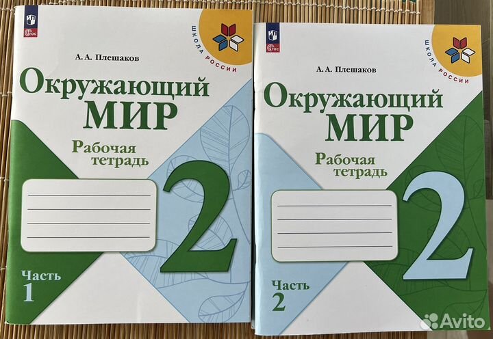 Рабочая тетрадь окружаюший мир 2 класс