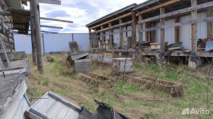 Продам ульи для пчел