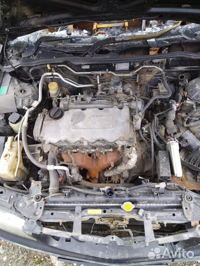 Nissan sunny pulsar