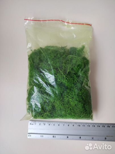 Мох ягель стабилизированный