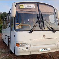 Междугородний / Пригородный автобус КАвЗ 4238-02 Аврора, 2016, Белград