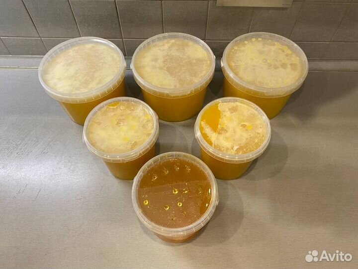 Тамбовский Цветочный Мед 09/2023