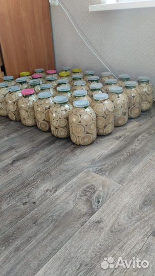 Соленые грузди