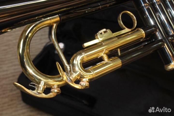 Труба Roy Benson TR-101K