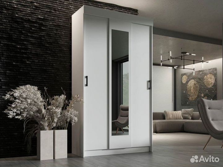 Шкаф купе Эко