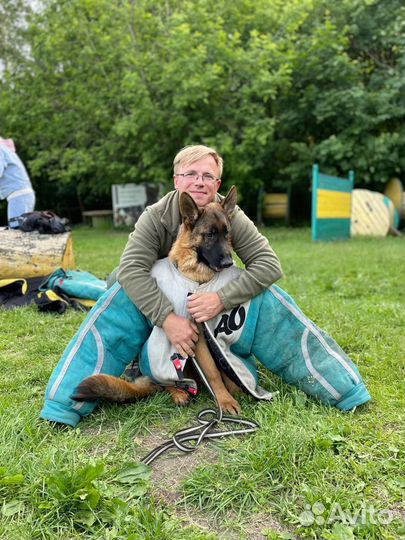 Кинолог. Дрессировка и воспитание собак