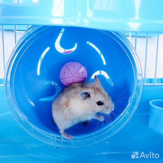 Клетка для хомяка