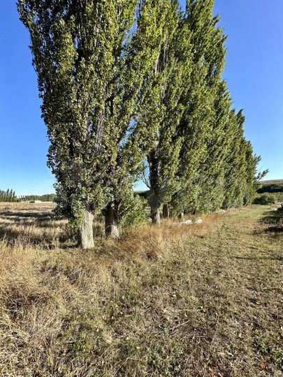 Участок 10 сот. (СНТ, ДНП)