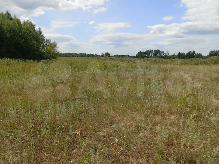 Участок 72 сот. (СНТ, ДНП)