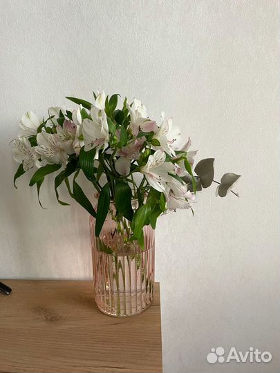 Альстромерия Стойкий цветов Доставка