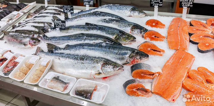 Бизнес на продаже рыбы и морепродуктов