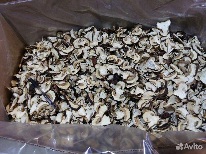 Белый гриб оптом от заготовителя