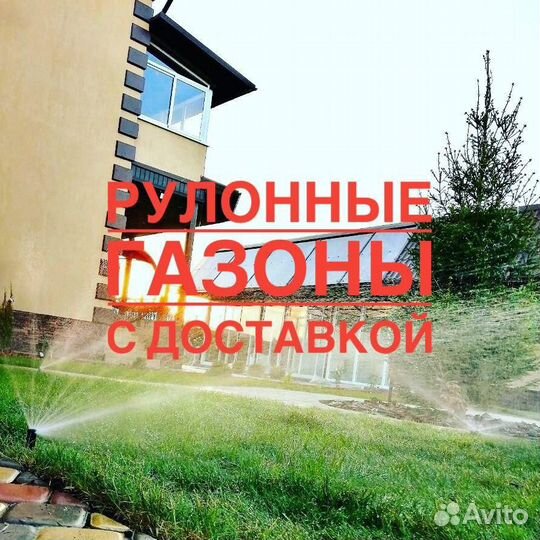 Рулонный газон