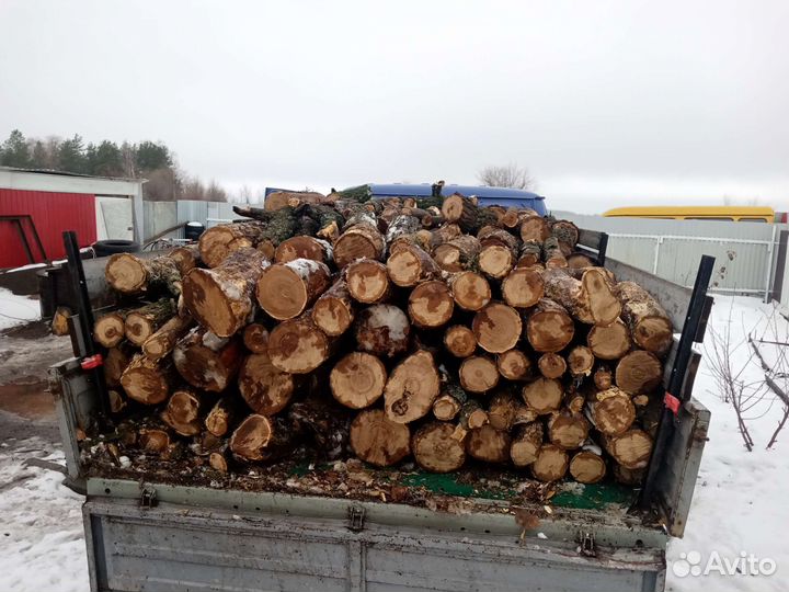 Дровишки дубовые