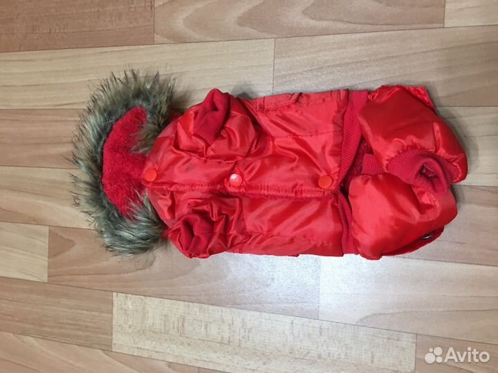 Комбинезон для маленькой собаки