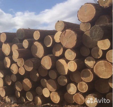 Подам лес кругляк пиловочник ндс