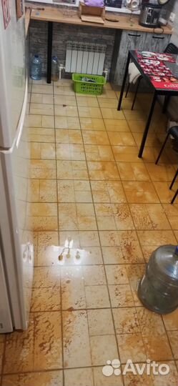 Осушение просушка после потопа квартиры/дома/офиса