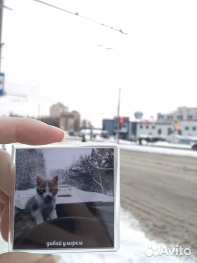 Магнит котенок 