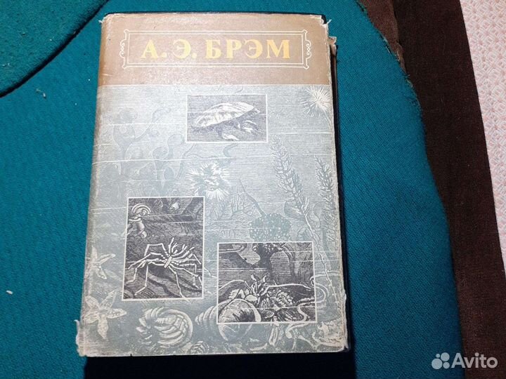 Книги про животных