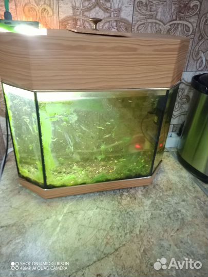 Аквариум