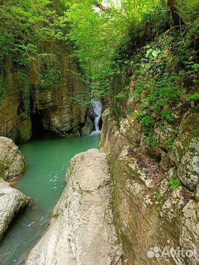 Detox Йога-тур в Сочи