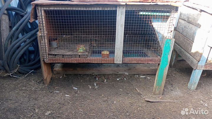 Клетки для кроликов