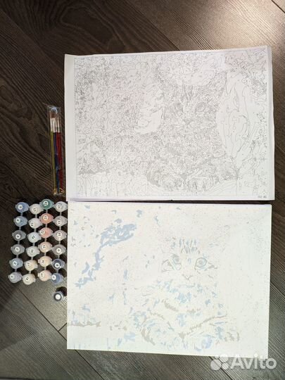 Раскраска по номерам на холсте 30*40 см