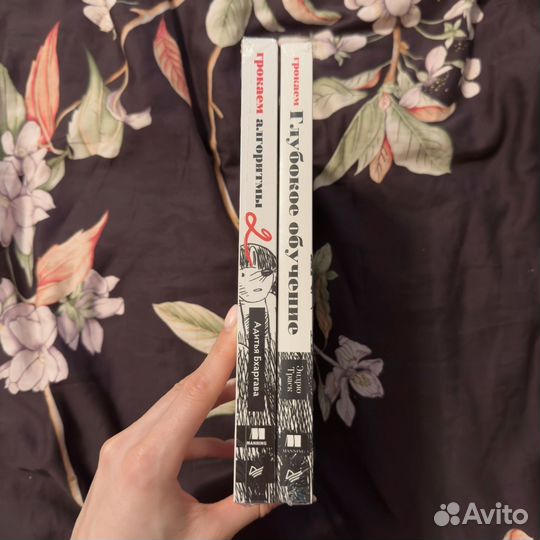 Набор книг Грокаем алгоритмы 2 и глубокое обучение