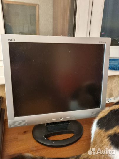 Монитор для компьютера NEC