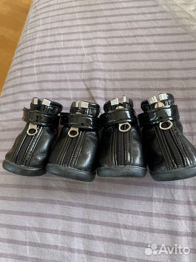 Комбинезон для маленьких собак ботинки dezzie