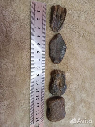 Окаменелости, палеонтология